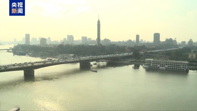 埃及为何积极支持沙特 维护共同安全与经济利益